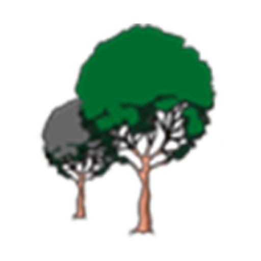 Membership - 2026 Unlimited Single