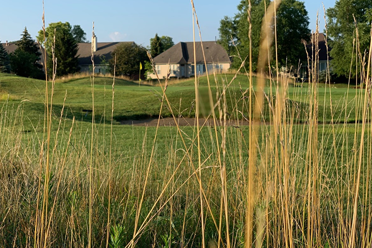 view of green with neighborhood in the background